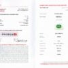 Anello rosetta smeraldo Zambia 0.63 ct Prestige Rosé - Gioielleria Casavola di Noci - certificato internazionale gemma GFCO
