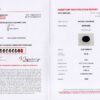Anello zaffiro 0.28 ct Pretty Sunflower Nature Rose - Gioielleria Casavola di Noci - certificato del laboratorio svizzero di gemmologia GFCO