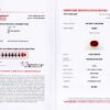 Anello rettangolare rubino Burma 1.05 ct Prestige Rosé - Gioielleria Casavola di Noci - gemma con certificato del laboratorio svizzero GFCO